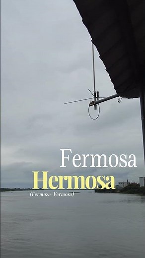 Formosa, Argentina 🇦🇷 Forgotten but beautiful? #formosa
