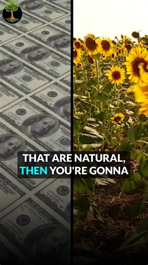 12K views · 260 reactions | What if the economy only feels broken…...