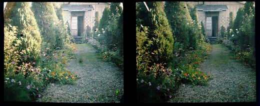 Join the MoMA Photo Club | Magazine | MoMA