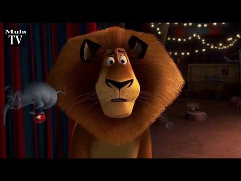 Madagascar 3 (2012) Circus Fail Scene