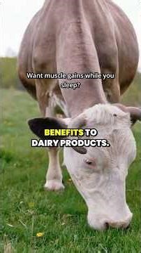 The Ultimate Muscle-Building Hack: Fast and Slow Protein #wheyprotein #casein