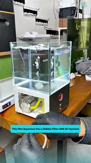 Mini Aquarium with Built-In Filter & Air – Full Review