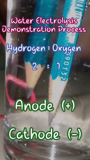 Water Electrolysis Demonstration Process #sciencefacts #water #electric