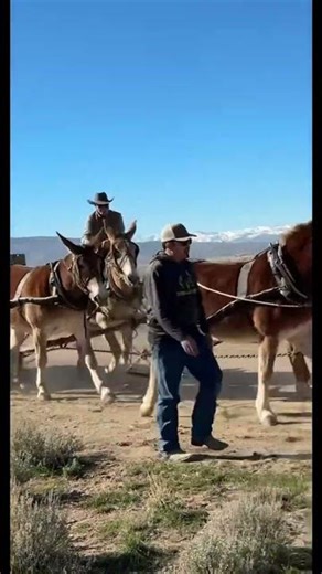 More footage from a practice session for Trailblazer Days~Opening the Last Frontier: June 12-14