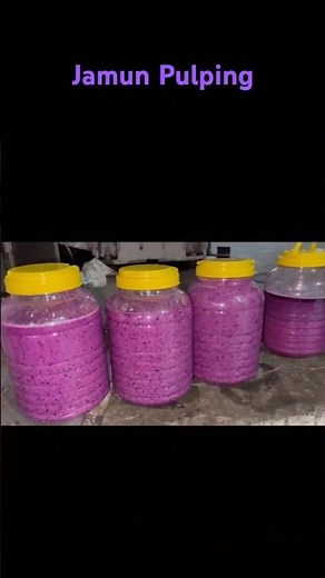 Industrial Jamun Pulping & Juicing Machine | #factory #youtubeshorts #shorts #shortsfeed