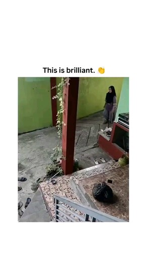 Devmanus.io on Instagram: "#The video is a compilation of short clips demonstrating an ingenious outdoor laundry drying system designed to protect clothes from sudden rain showers. Set in various rural or suburban backyards with green-painted walls, corrugated metal roofs, and lush green fields in the background, each segment features a person, often a woman in traditional attire, noticing the onset of rain. The clotheslines are mounted on sliding tracks or pulley systems, loaded with colorful g