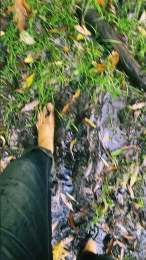 Barefoot mud challenge is better than guess what🙂? #shorts #nature #meditation #wellness #health