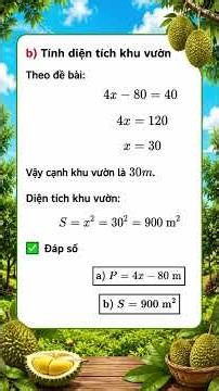 Toán 8 ứng dụng giải bài toán tính chu vi và diện tích khu vườn #toan8