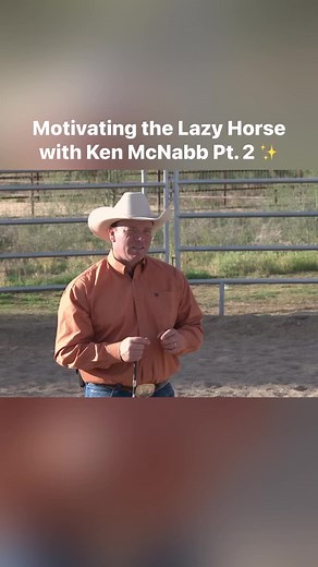 Motivating the Lazy Horse with Ken McNabb Pt. 2 ✨ #weaverleather #kenmcnabb #horsemanship #groundwork | Weaver Equine