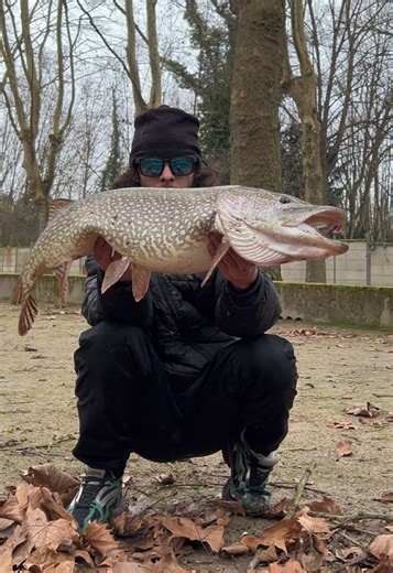 Ultimate Guide to Catching Pike and Musky Fish