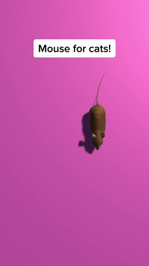 Gatify - Games for Cats on TikTok