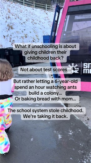 Unschooling begins with reprogramming yourself first. Education is everywhere! #honestmotherhood #SlowLivingMama #wildandfree #RaisingLeadersNotFollowers #outsidethesystem