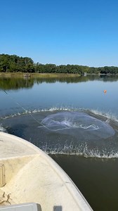 How to throw a 10 foot cast net! #castnet #bait #shrimp | Gigmaster