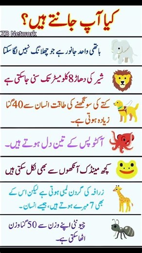 Amazing Animal Facts You Didn't Know | Fun Trivia About Elephants, Lions & More!"