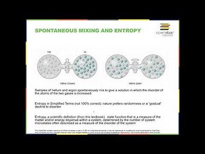 11.1 The Dissolution Process
