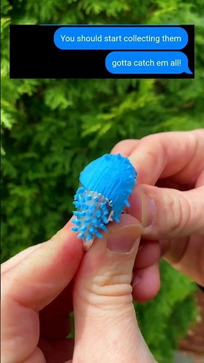 She Thought She Won #funny messages #itext #text #textstories #funnymessages #textfail #slime