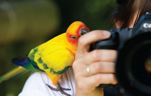 100 Things To Do in 2025: Yearly Bucket List Game