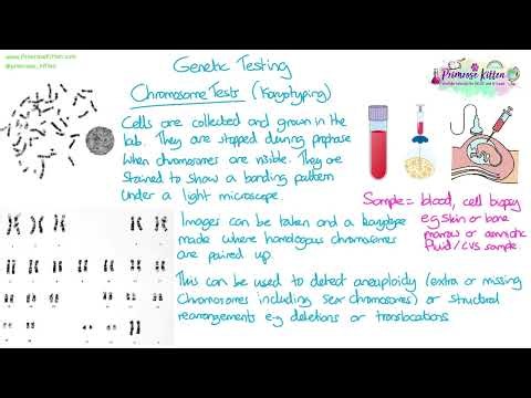 Types of Genetic Test - AAQ Human Biology | Genetics