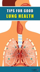 Tips for Good Lung Health #health #lungs #fitness #wellness | Health