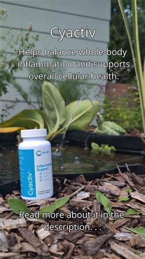 Cyactiv by Cerule #cerule #cyactiv #inflammation #stemcells