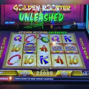 Unleashed Kept Retriggering! #slots #casino #gaming