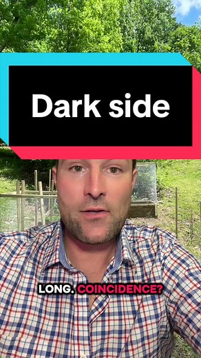 Pink Floyd: The Dark Side of the Moon Explained