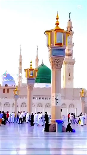 rofa (@rofa1440)’s videos with original sound - rofa