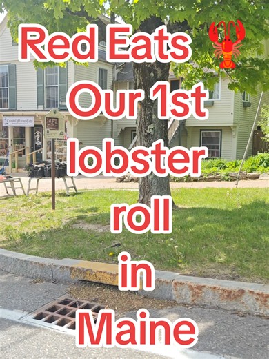 Chicago to Maine! 👫🚗 Our 1st stop, Red Eats! The MOST famous lobster shack in Maine! 🦞#lobster #memorialdayweekend2026 #lobsterrolls🦞🥖 #Maine #roadtrip