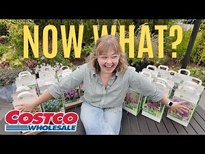 Costco Bulb Survival Guide 🌷| Bought Bulbs… Now What?