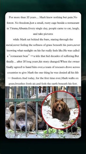 He Spent 20 Years in a Cage — What Happens Next Will Melt Your Heart 💔🐻