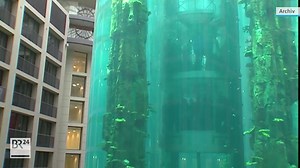 Im Berliner "DomAquarée"-Hotel ist ein riesiges Aquarium geplatzt. Alle 1.500 tropischen Fische sind tot, zwei Menschen wurden leicht verletzt. 👉https://www.br.de/nachrichten/deutschland-welt/16-meter-hohes-aquarium-in-berliner-hotel-geplatzt,TQ9wlPA | BR24