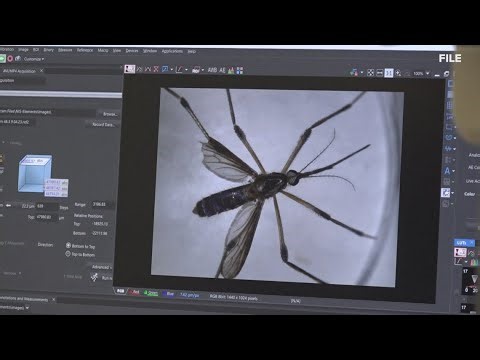 Mosquito-borne virus surging in Missouri, killing 3 and hospitalizing 15