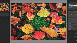 The Best Ways to Improve Your Fall Photography | Fstoppers