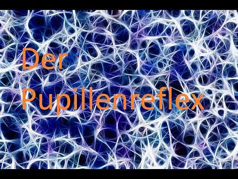Der Pupillenreflex - Neurologie