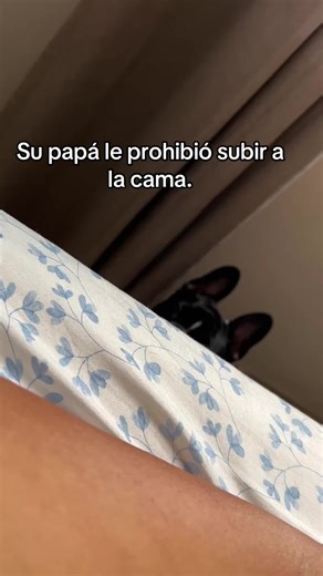 TALULA 🩷