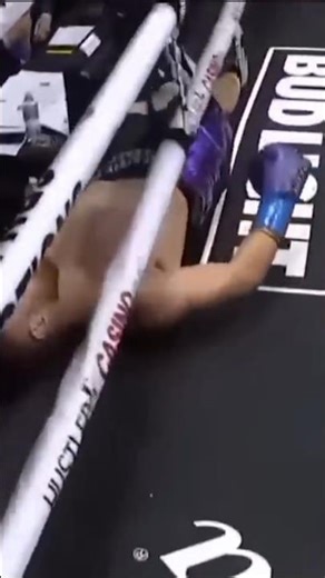 Brutal knockout by Mark Magnifico Magsayo Philippines