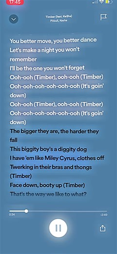 Timber: Lyrics and Meaning of Pitbull & Ke$ha