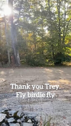 When we first stepped onto this land, a red-headed woodpecker appeared in the vineyard, as if to welcome us. A quiet whisper in my soul said, “You’re home.” Since that moment, the birds have become part of our daily rhythm. They follow us through the land and remind us that this place is a shared home for all of us. A true sanctuary for all. But working the land comes with lessons and finding balance. One lesson we’ve learned is the importance of protecting our grapes with netting. What we didn’