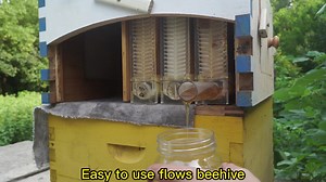 Auto Wooden Flows Bee Hive House Kit Beehive Boxes with 7 Pieces Comb Honey Frames for Beginning and Professional Beekeepers