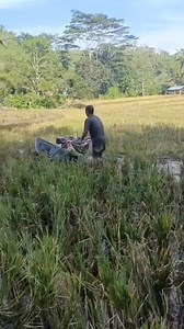 #tinabangayaronmakalahutay #MagUuma Malipayon gihapon kauban ang ginikanan nga mapinanggaon💞 | Mary Ann Lara Comiso