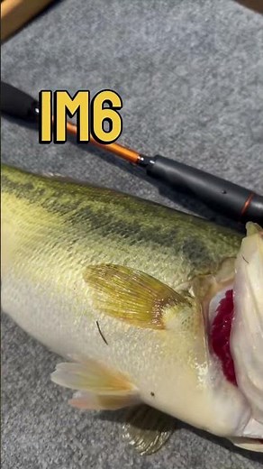 Introducing the Powerful KastKing Lethal Blaze Fishing Reel Combo