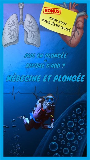 Les Plongeurs Padawan on Instagram: "Lors du montage de notre dernier épisode sur l’ADD, on a supprimé cette question, pourtant super intéressante. On n’a pas pu se résoudre à couper cette explication du Dr Mathieu Coulange sur le lien (vital !) entre votre envie d’uriner sous l’eau et votre sécurité. On vous livre cet extrait tel quel, sans filtre et sans montage. Un petit "bonus" médical pour comprendre pourquoi votre gourde d’eau est aussi importante que votre ordinateur de plongée. ⚠️ ATTENT