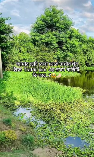 Understanding Traffic Jam Dynamics and Solutions