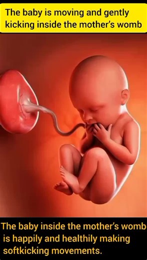 Understanding Baby Kicking During Pregnancy