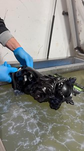 #satisfying | HTF-Wassertransferdruck