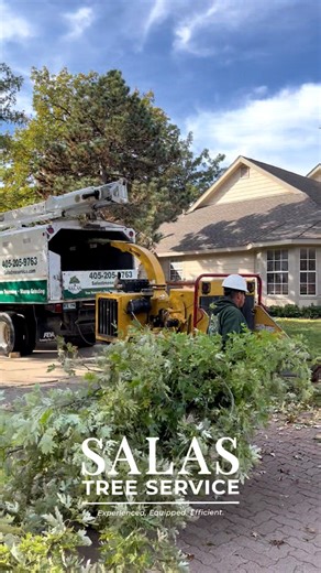 "We used Salas Tree Service for our neighborhood which has lots of big, established trees and they did a great job! From estimate, scheduling, completing and payment. Everything was very seamless! Communication was great, they were punctual, professional and completed our job in such a good time. If you're looking for big tree management, they can handle it!" - Red Oak HOA Reviews like this remind us why we do what we do. If you are looking for professional and reliable tree care, contact our te