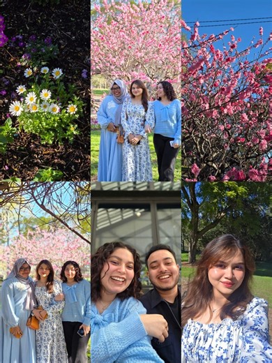 314K views · 5.3K reactions | Spring in Australia  | Misty | Facebook