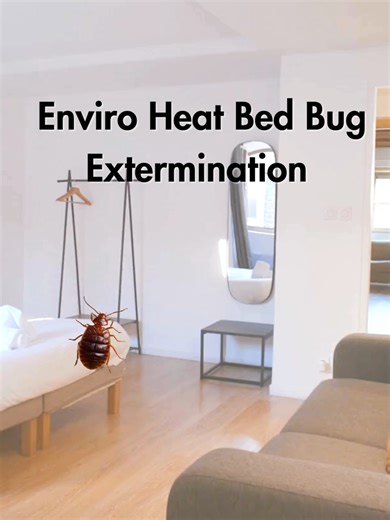 Enviro Heat Bed Bug Extermination Greenville, SC Take Back Your Home From Bed Bugs Local specialists providing professional heat treatments. 📞 864-341-5321 🌐 www.scbedbugpestcontrol.com #Bedbugs #BedBugHeatTreatment #TakeBackYourHome #BedBugPros #EnviroHeat #GreenvilleSC#BedBugHeatTreatment #bedbugheattreatment #HeatOverChemicals #HeatTreatmentWorks #bedbugcontrolnearme #bedbuginfestations #ExterminationExperts #HeatIsTheAnswer #WeGotYouCovered #bedbugpestcontrol #GreenvilleExterminator #SCHea