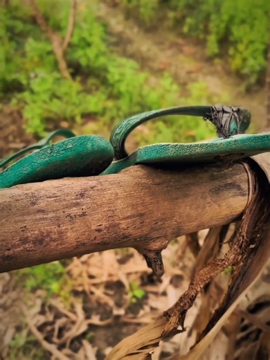 Creating Eye-Catching Speed Ramps with CapCut