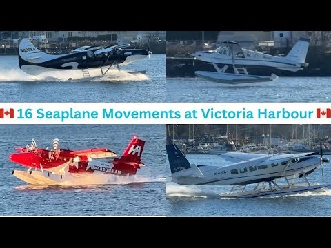 16 Seaplanes in 3 Hours | Victoria Harbour Winter Action